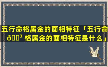 五行命格属金的面相特征「五行命 🌳 格属金的面相特征是什么」